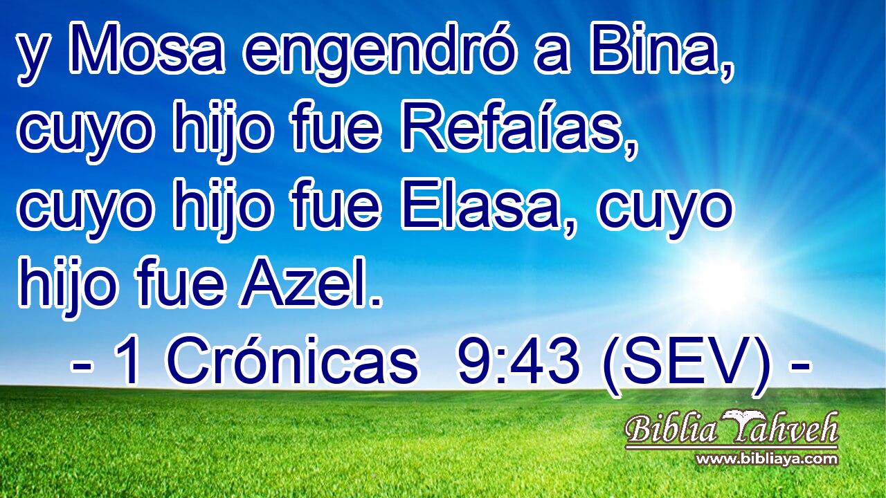 y Mosa engendró a Bina, cuyo hijo fue Refaías, cuyo hijo fue Elasa, cuyo hijo fue Azel.