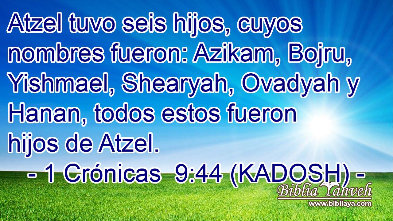  Atzel tuvo seis hijos, cuyos nombres fueron: Azikam, Bojru, Yishmael, Shearyah, Ovadyah y Hanan, todos estos fueron hijos de Atzel. 