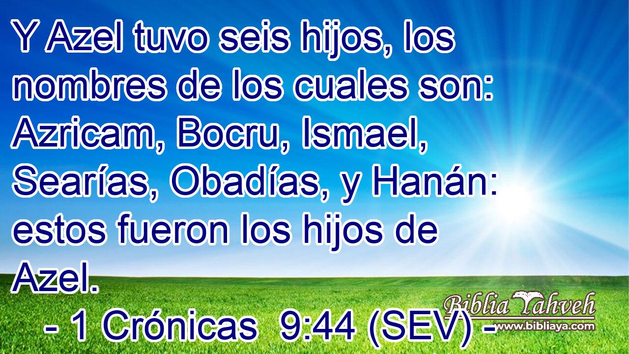 Y Azel tuvo seis hijos, los nombres de los cuales son: Azricam, Bocru, Ismael, Searías, Obadías, y Hanán: estos fueron los hijos de Azel.