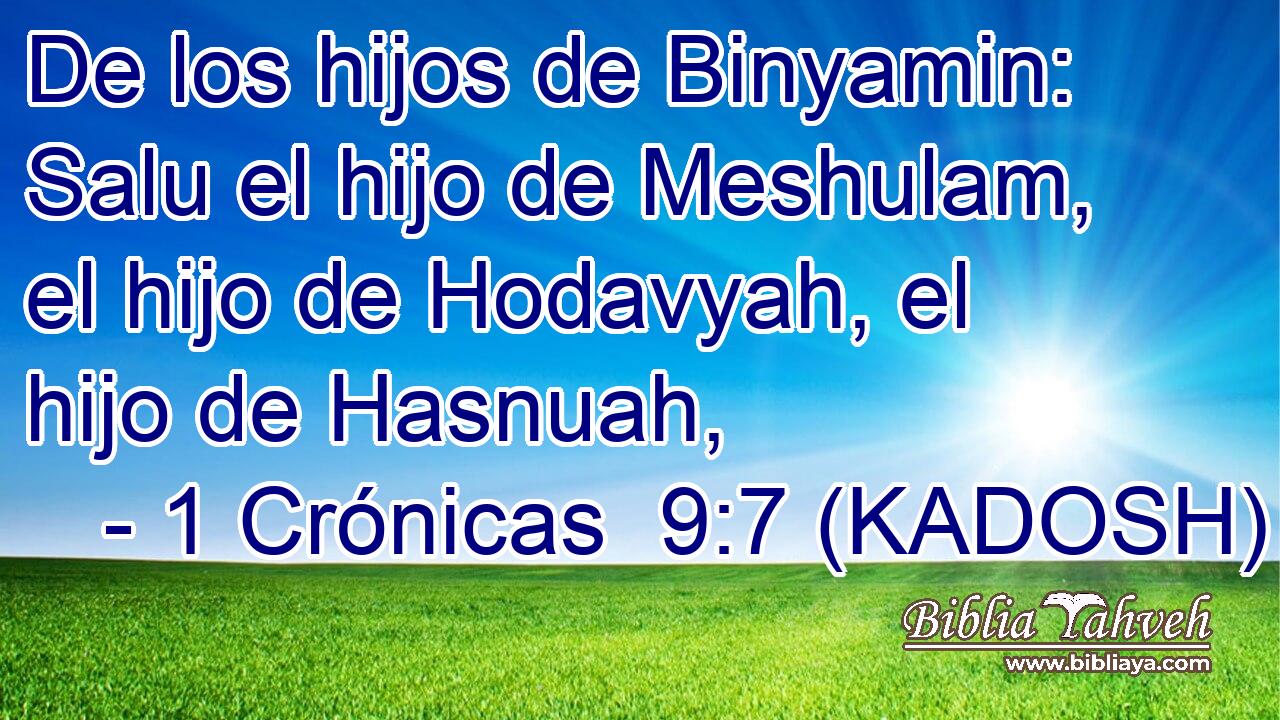  De los hijos de Binyamin: Salu el hijo de Meshulam, el hijo de Hodavyah, el hijo de Hasnuah, 