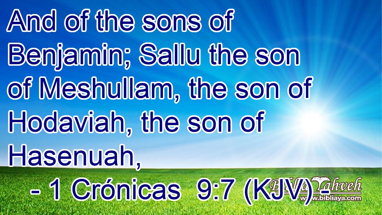 And of the sons of Benjamin; Sallu the son of Meshullam, the son of Hodaviah, the son of Hasenuah,