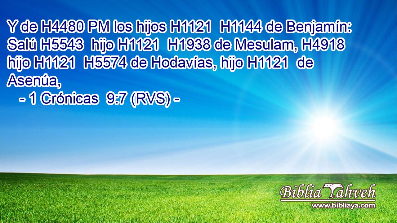 Y de H4480 PM los hijos H1121  H1144 de Benjamín: Salú H5543  hijo H1121  H1938 de Mesulam, H4918  hijo H1121  H5574 de Hodavías, hijo H1121  de Asenúa, 