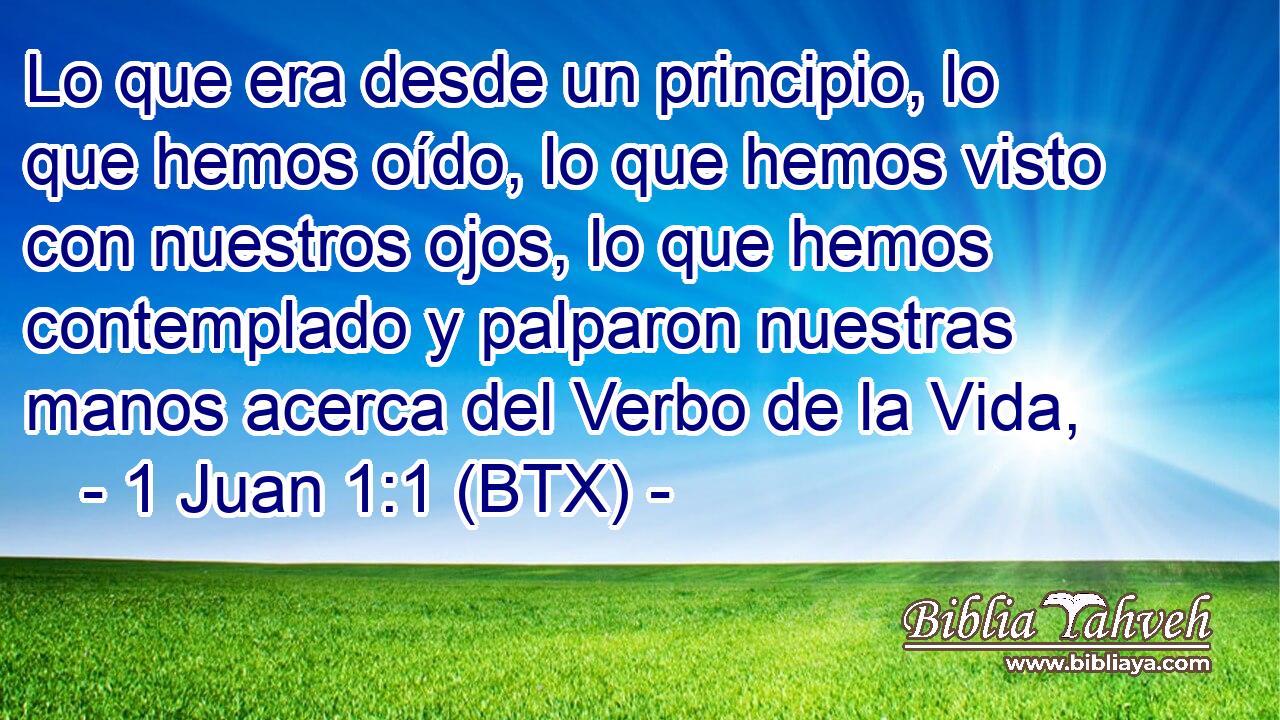 Lo que era desde un principio, lo que hemos oído, lo que hemos visto con nuestros ojos, lo que hemos contemplado y palparon nuestras manos acerca del Verbo de la Vida,