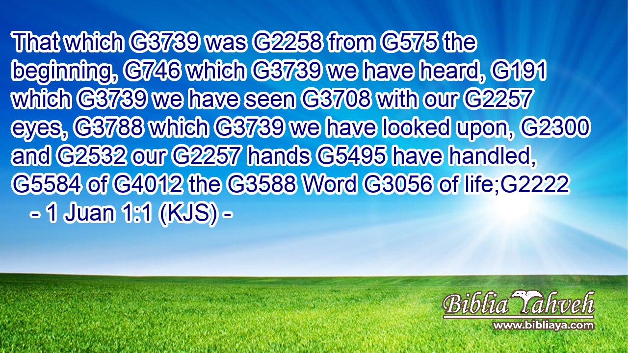 That which G3739 was G2258 from G575 the beginning, G746 which G3739 we have heard, G191 which G3739 we have seen G3708 with our G2257 eyes, G3788 which G3739 we have looked upon, G2300 and G2532 our G2257 hands G5495 have handled, G5584 of G4012 the G3588 Word G3056 of life;G2222