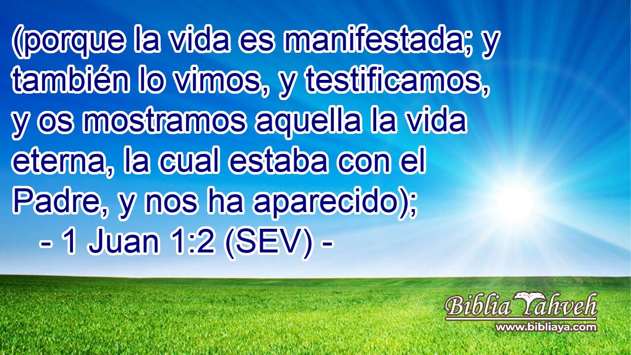 (porque la vida es manifestada; y también lo vimos, y testificamos, y os mostramos aquella la vida eterna, la cual estaba con el Padre, y nos ha aparecido);