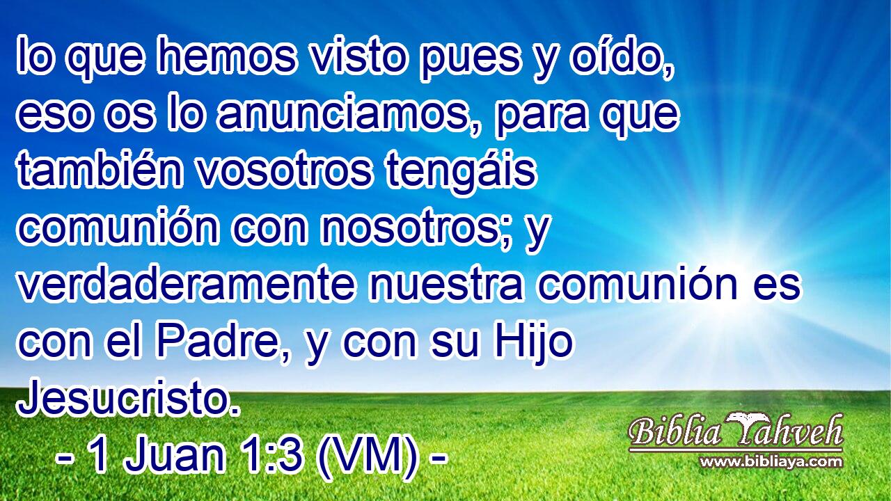  lo que hemos visto pues y oído, eso os lo anunciamos, para que también vosotros tengáis comunión con nosotros; y verdaderamente nuestra comunión es con el Padre, y con su Hijo Jesucristo. 