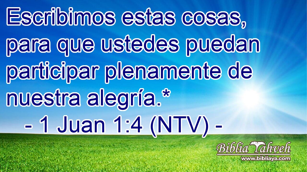 Escribimos estas cosas, para que ustedes puedan participar plenamente de nuestra alegría.*