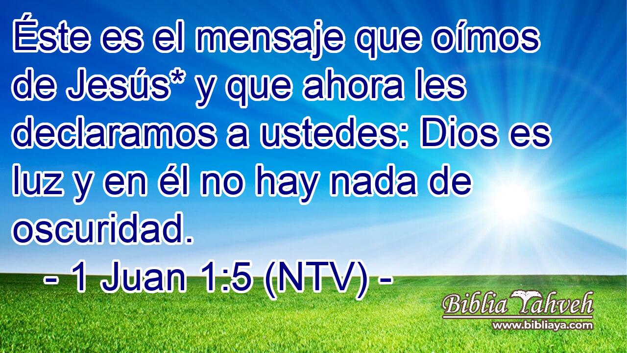 Éste es el mensaje que oímos de Jesús* y que ahora les declaramos a ustedes: Dios es luz y en él no hay nada de oscuridad.
