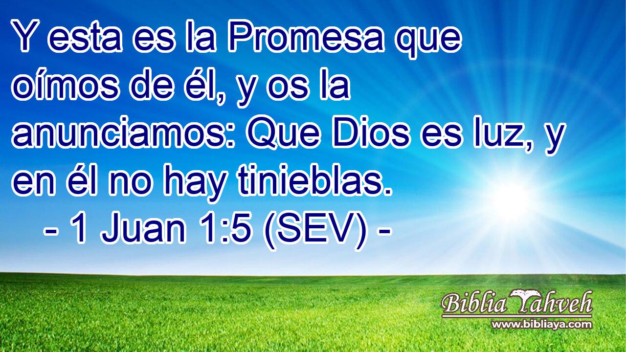 Y esta es la Promesa que oímos de él, y os la anunciamos: Que Dios es luz, y en él no hay tinieblas.