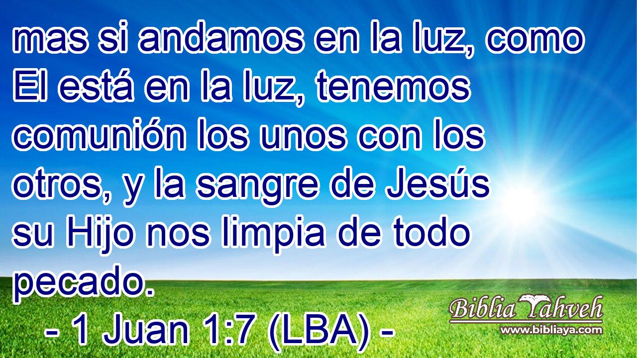 mas si andamos en la luz, como El está en la luz, tenemos comunión los unos con los otros, y la sangre de Jesús su Hijo nos limpia de todo pecado.