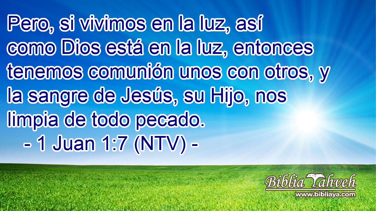Pero, si vivimos en la luz, así como Dios está en la luz, entonces tenemos comunión unos con otros, y la sangre de Jesús, su Hijo, nos limpia de todo pecado.