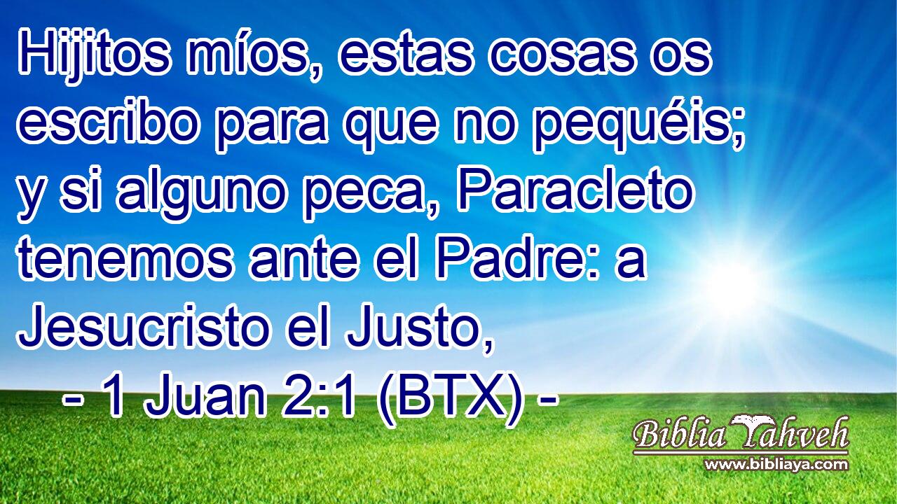 Hijitos míos, estas cosas os escribo para que no pequéis; y si alguno peca, Paracleto tenemos ante el Padre: a Jesucristo el Justo,