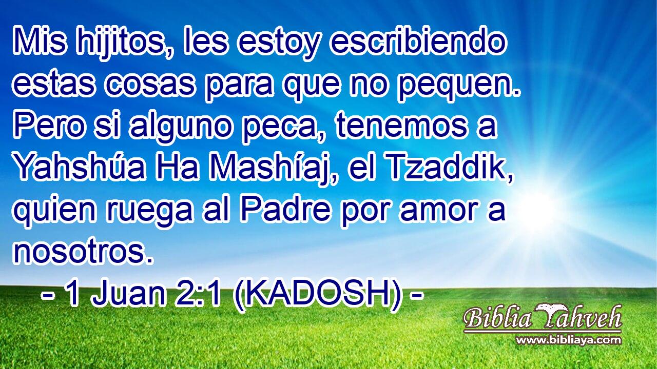  Mis hijitos, les estoy escribiendo estas cosas para que no pequen. Pero si alguno peca, tenemos a Yahshúa Ha Mashíaj, el Tzaddik, quien ruega al Padre por amor a nosotros. 