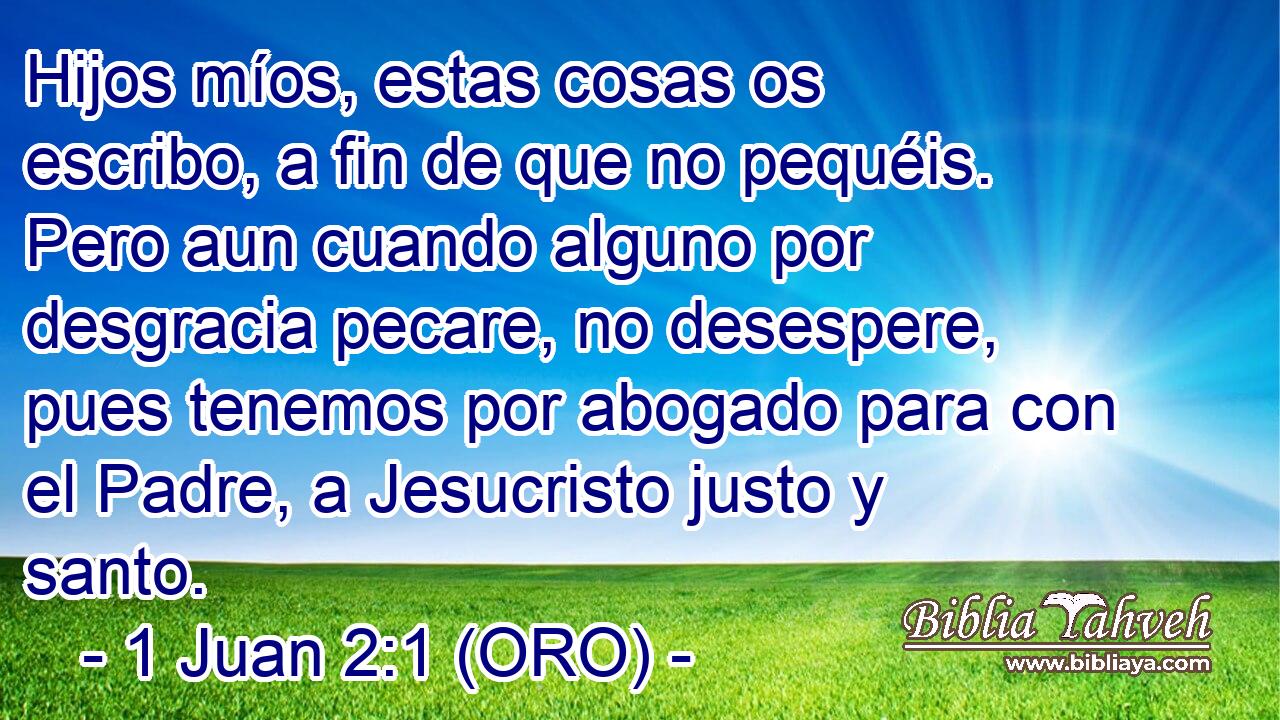  Hijos míos, estas cosas os escribo, a fin de que no pequéis. Pero aun cuando alguno por desgracia pecare, no desespere, pues tenemos por abogado para con el Padre, a Jesucristo justo y santo. 