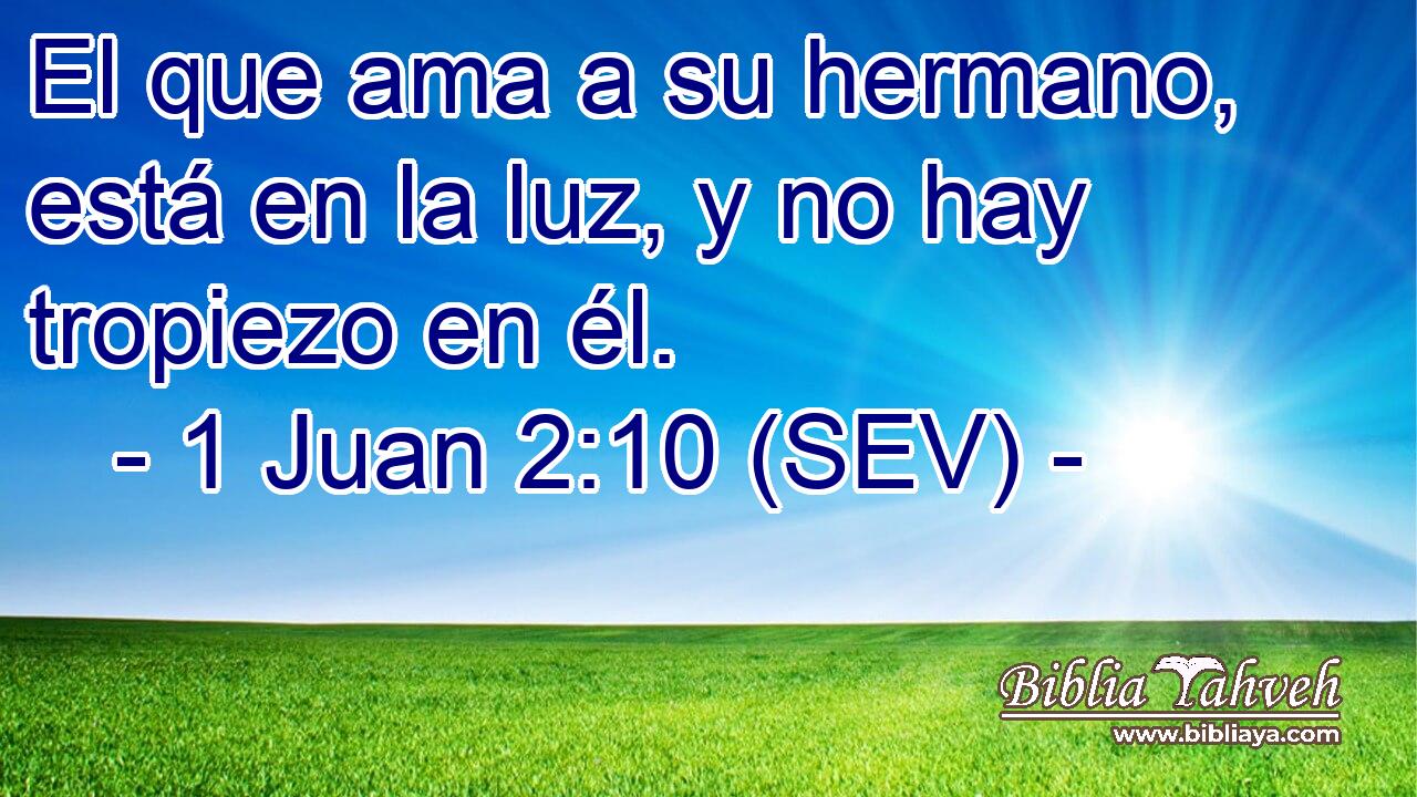 El que ama a su hermano, está en la luz, y no hay tropiezo en él.