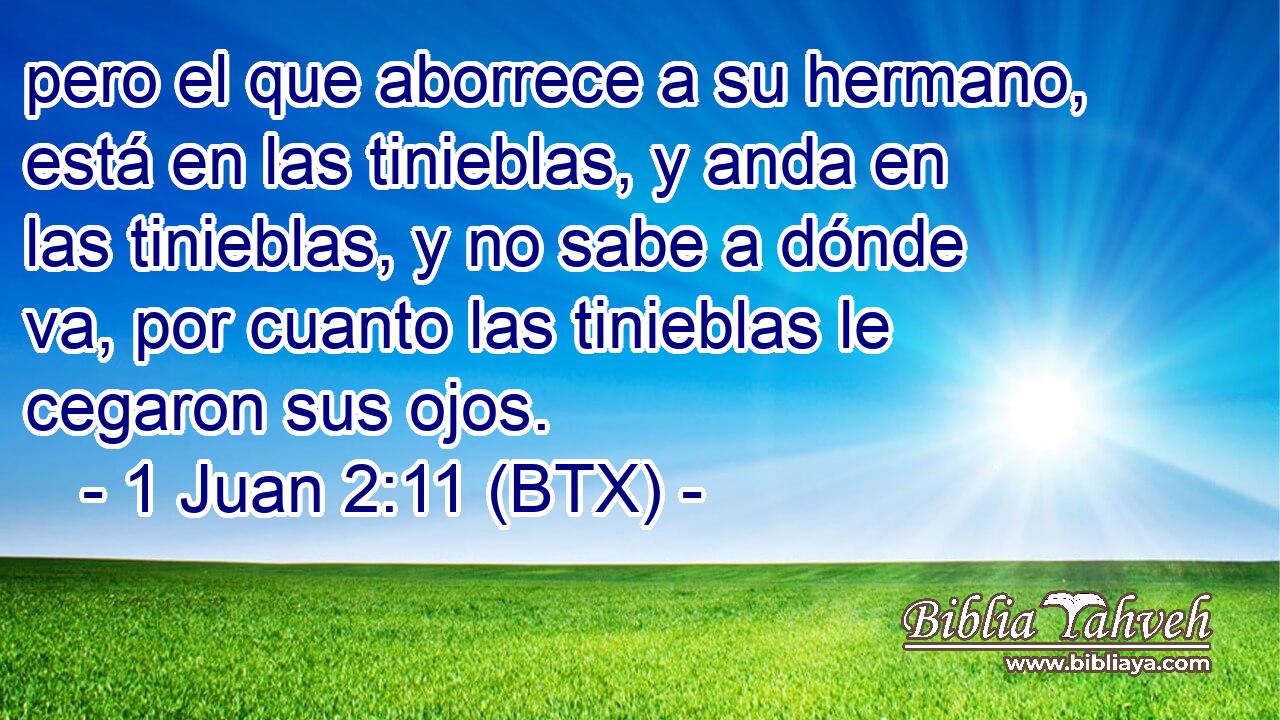 pero el que aborrece a su hermano, está en las tinieblas, y anda en las tinieblas, y no sabe a dónde va, por cuanto las tinieblas le cegaron sus ojos.