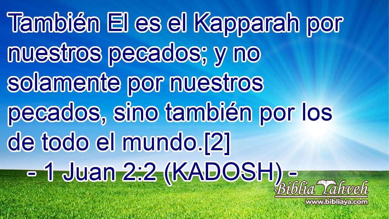  También El es el Kapparah por nuestros pecados; y no solamente por nuestros pecados, sino también por los de todo el mundo.[2] 