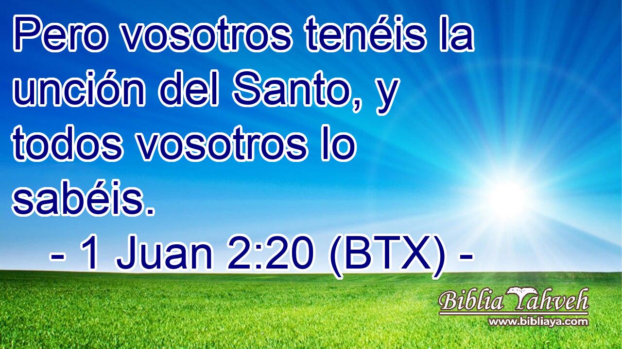 Pero vosotros tenéis la unción del Santo, y todos vosotros lo sabéis.