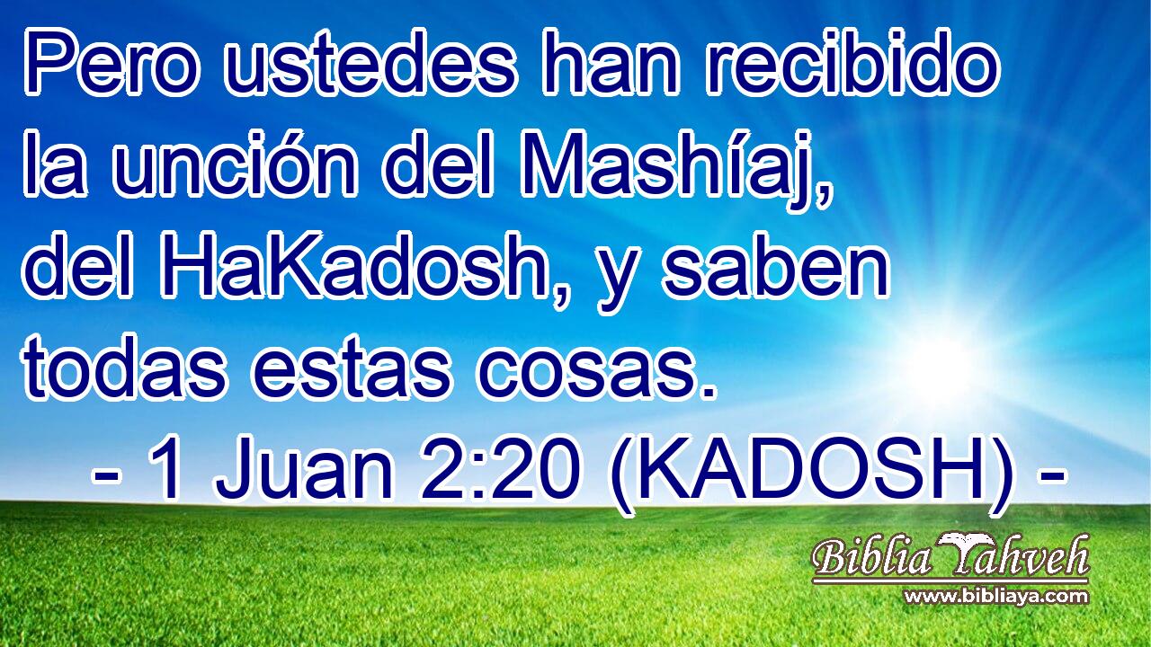  Pero ustedes han recibido la unción del Mashíaj, del HaKadosh, y saben todas estas cosas. 