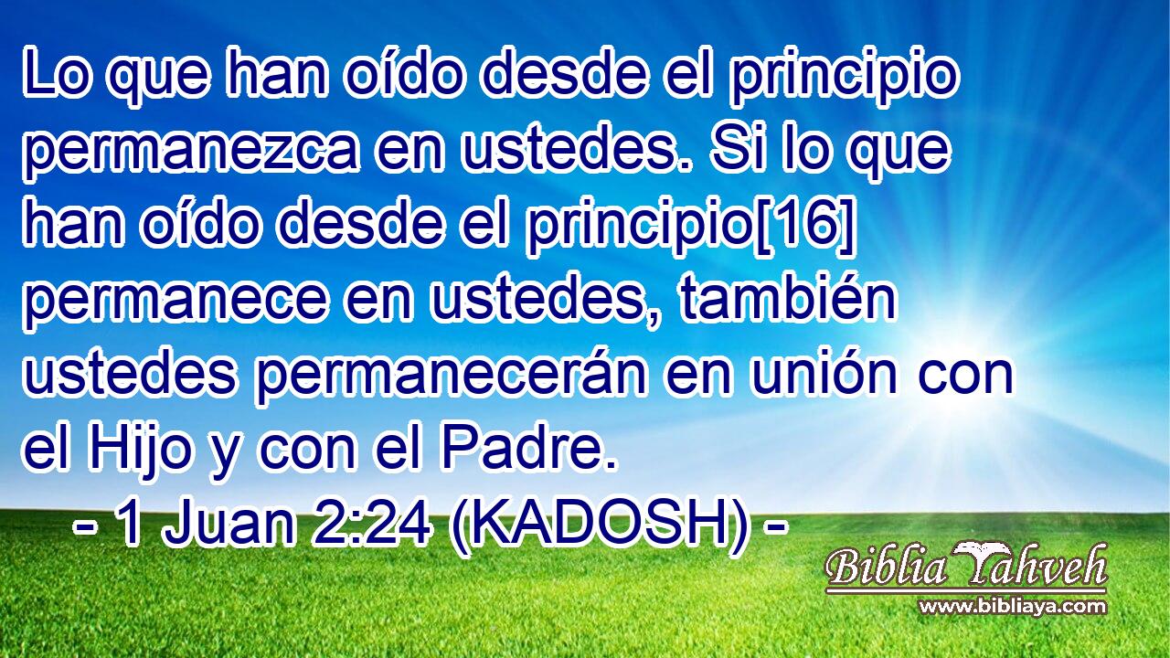  Lo que han oído desde el principio permanezca en ustedes. Si lo que han oído desde el principio[16] permanece en ustedes, también ustedes permanecerán en unión con el Hijo y con el Padre. 