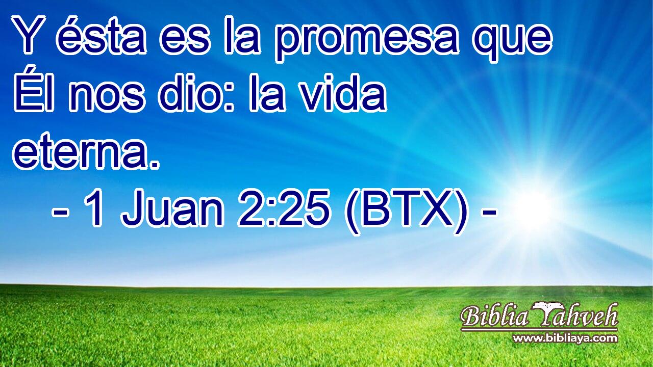 Y ésta es la promesa que Él nos dio: la vida eterna.