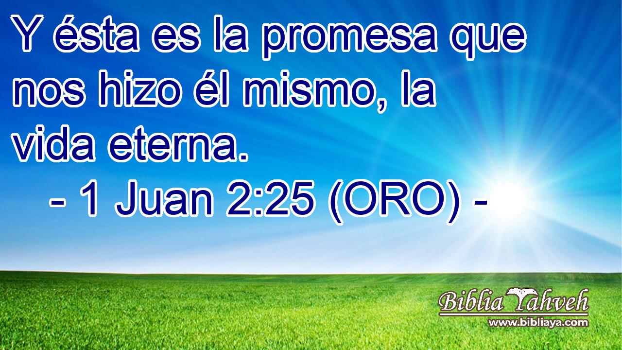 Y ésta es la promesa que nos hizo él mismo, la vida eterna. 