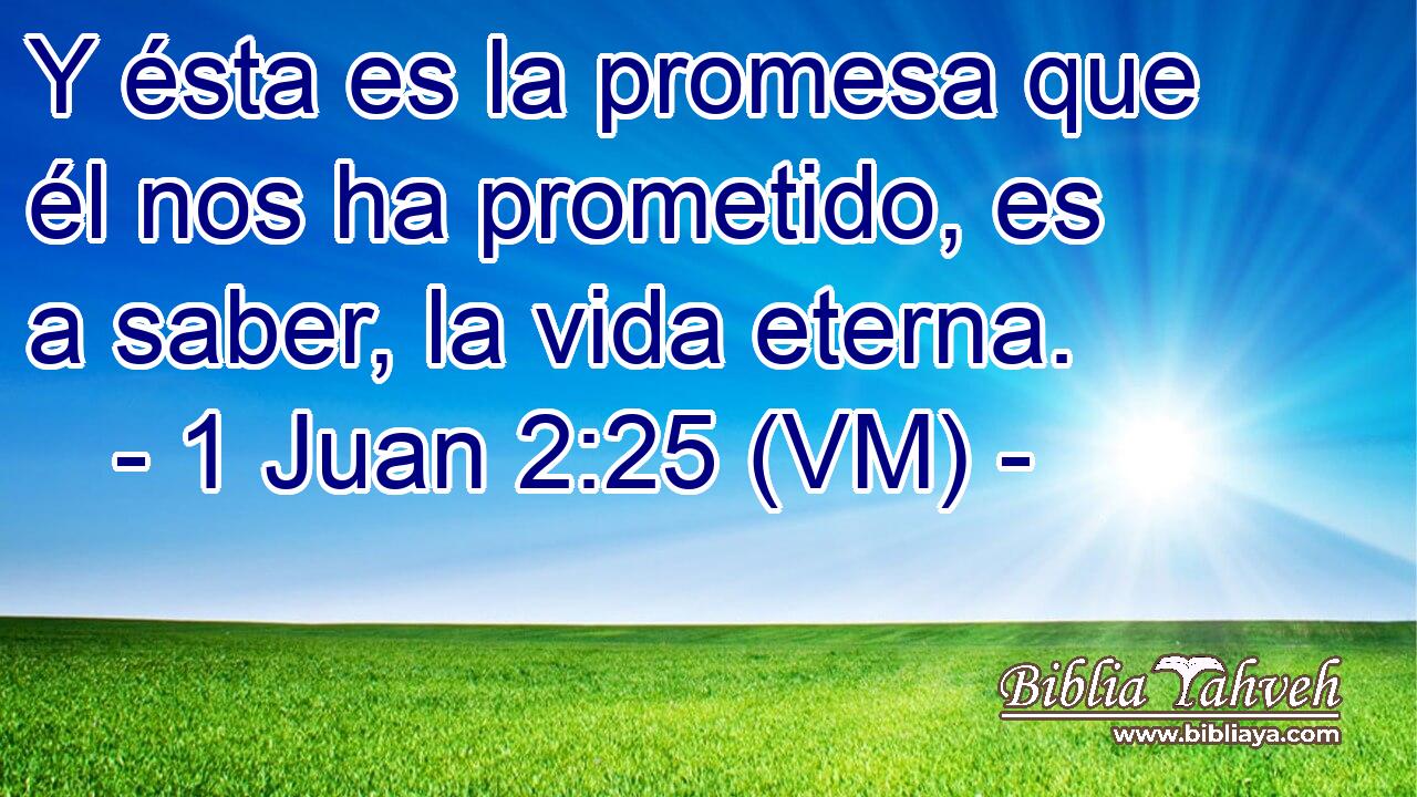  Y ésta es la promesa que él nos ha prometido, es a saber, la vida eterna. 