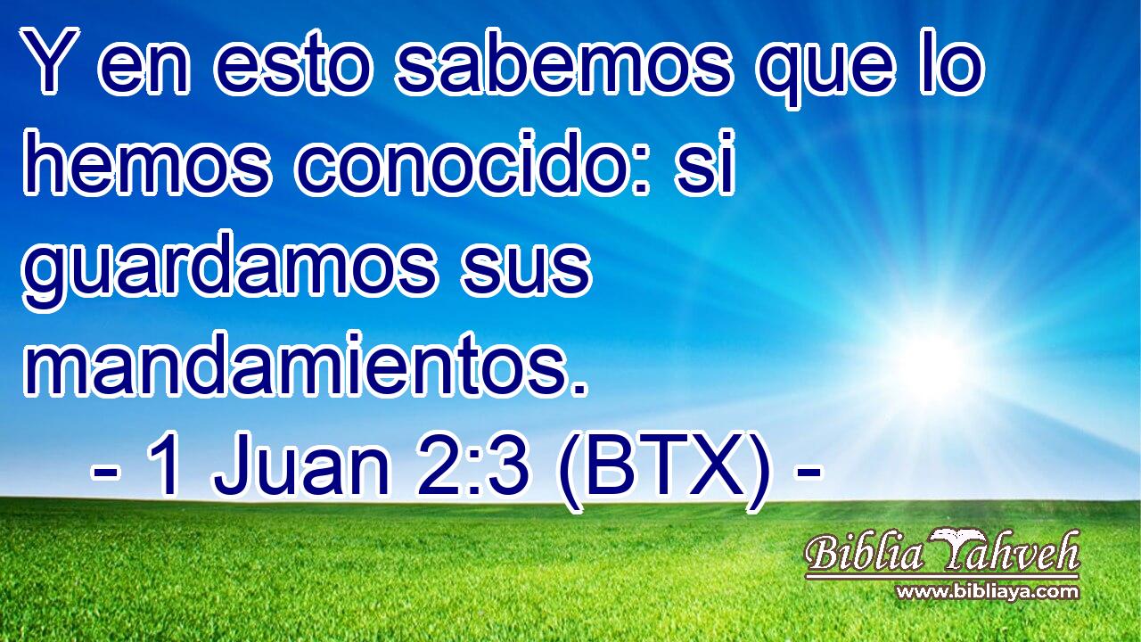 Y en esto sabemos que lo hemos conocido: si guardamos sus mandamientos.
