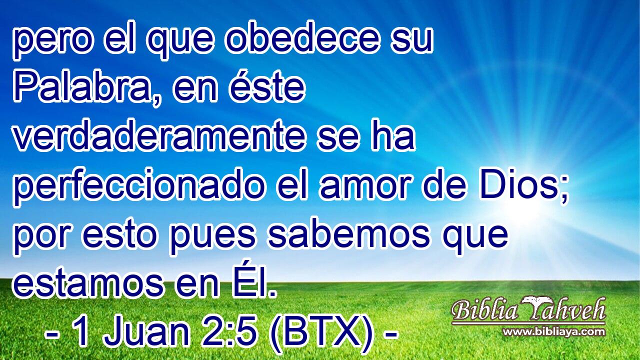 pero el que obedece su Palabra, en éste verdaderamente se ha perfeccionado el amor de Dios; por esto pues sabemos que estamos en Él.