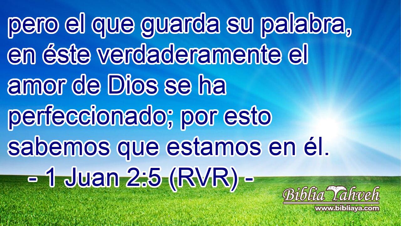 pero el que guarda su palabra, en éste verdaderamente el amor de Dios se ha perfeccionado; por esto sabemos que estamos en él.