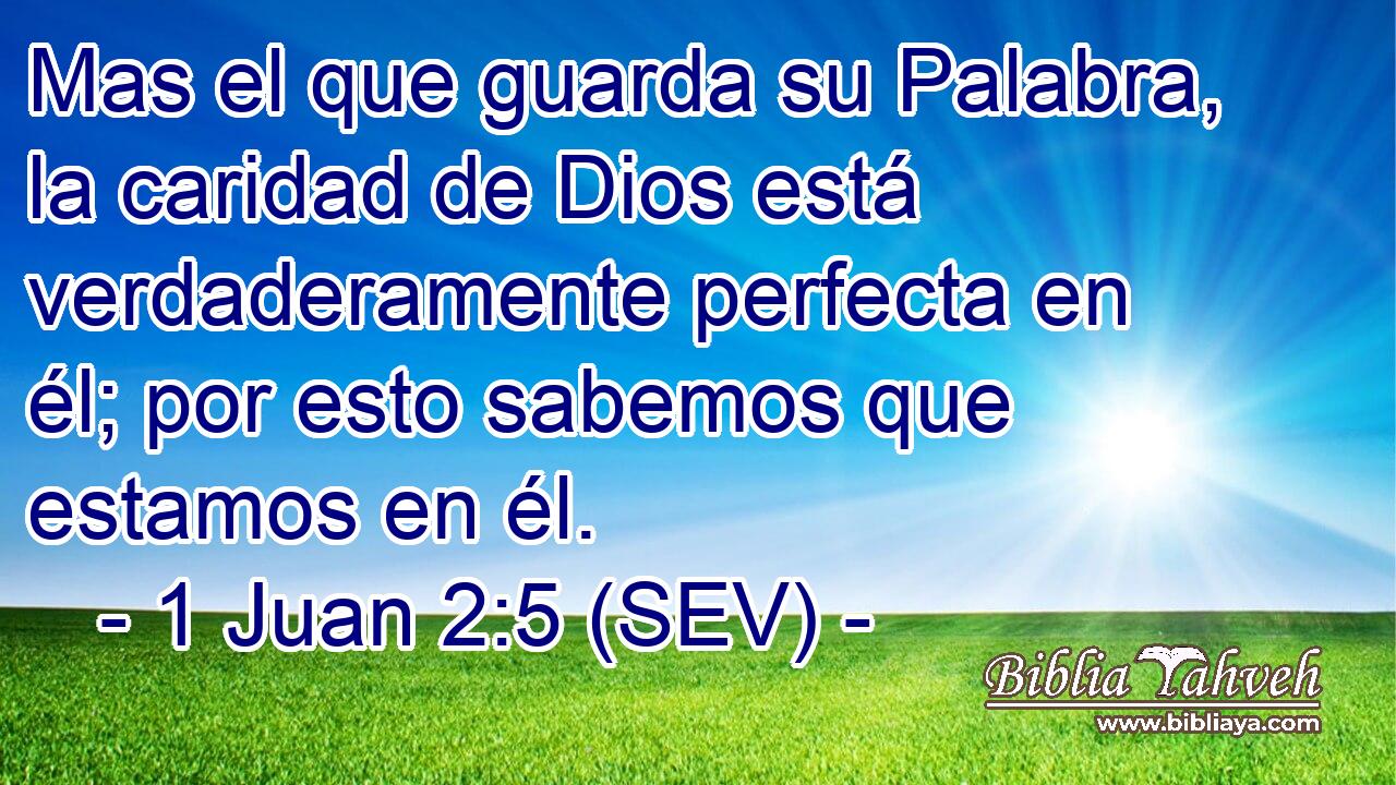 Mas el que guarda su Palabra, la caridad de Dios está verdaderamente perfecta en él; por esto sabemos que estamos en él.