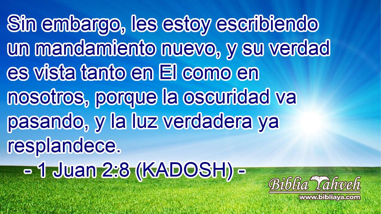  Sin embargo, les estoy escribiendo un mandamiento nuevo, y su verdad es vista tanto en El como en nosotros, porque la oscuridad va pasando, y la luz verdadera ya resplandece. 