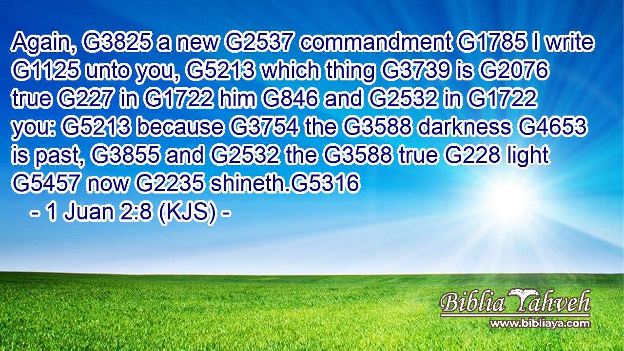 Again, G3825 a new G2537 commandment G1785 I write G1125 unto you, G5213 which thing G3739 is G2076 true G227 in G1722 him G846 and G2532 in G1722 you: G5213 because G3754 the G3588 darkness G4653 is past, G3855 and G2532 the G3588 true G228 light G5457 now G2235 shineth.G5316