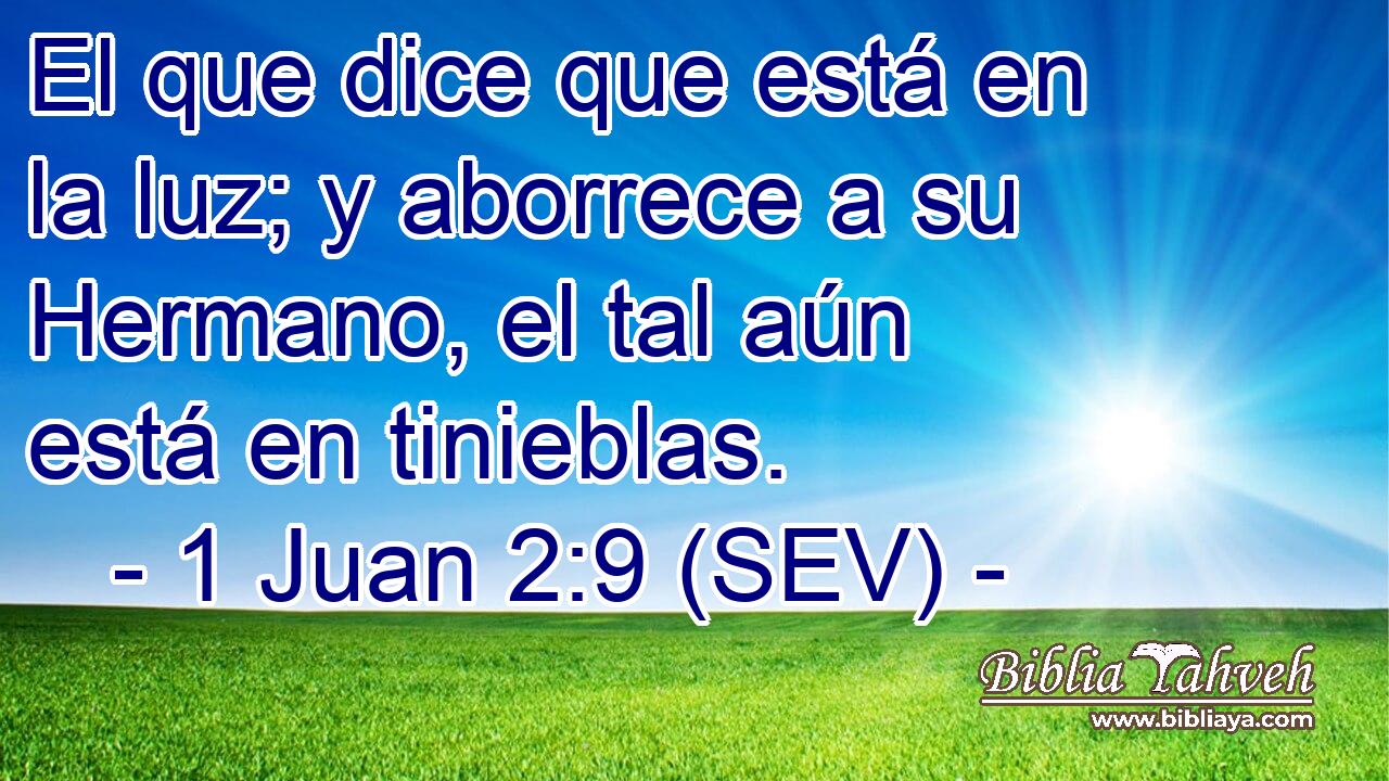 El que dice que está en la luz; y aborrece a su Hermano, el tal aún está en tinieblas.