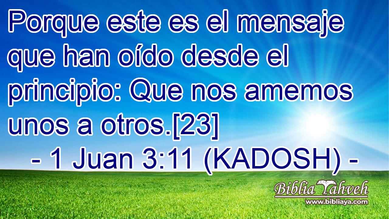  Porque este es el mensaje que han oído desde el principio: Que nos amemos unos a otros.[23] 