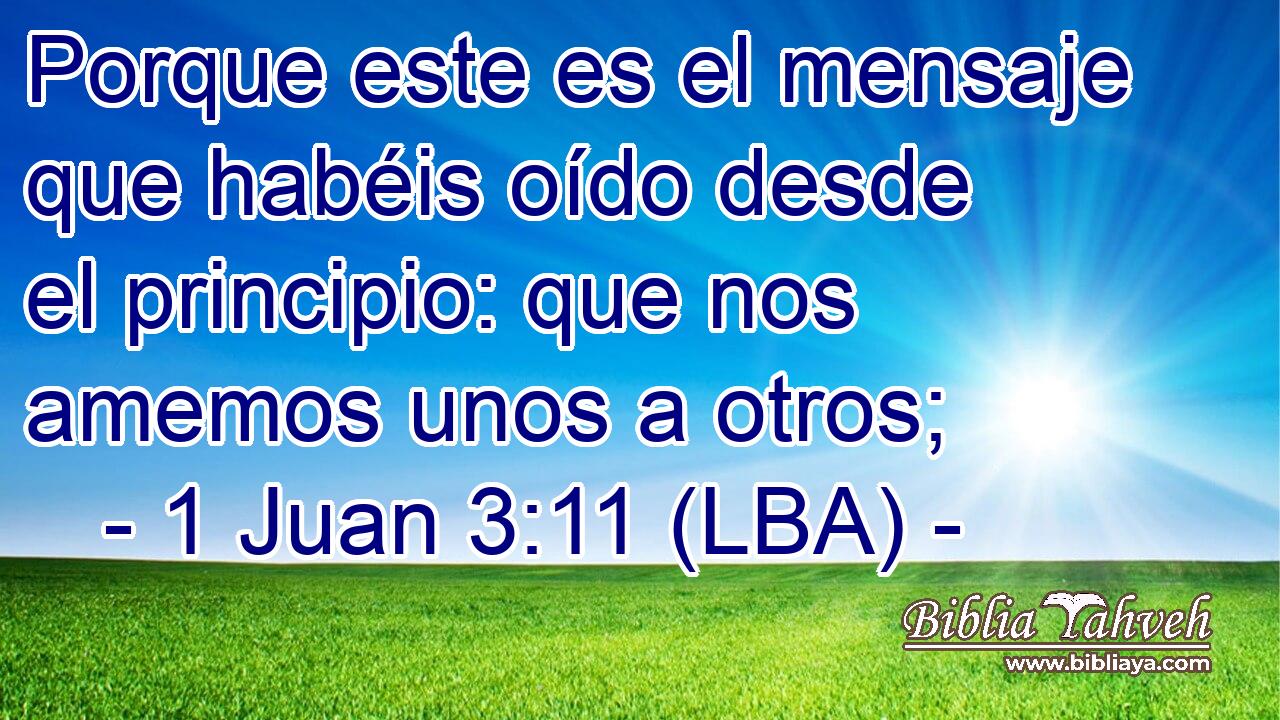 Porque este es el mensaje que habéis oído desde el principio: que nos amemos unos a otros;