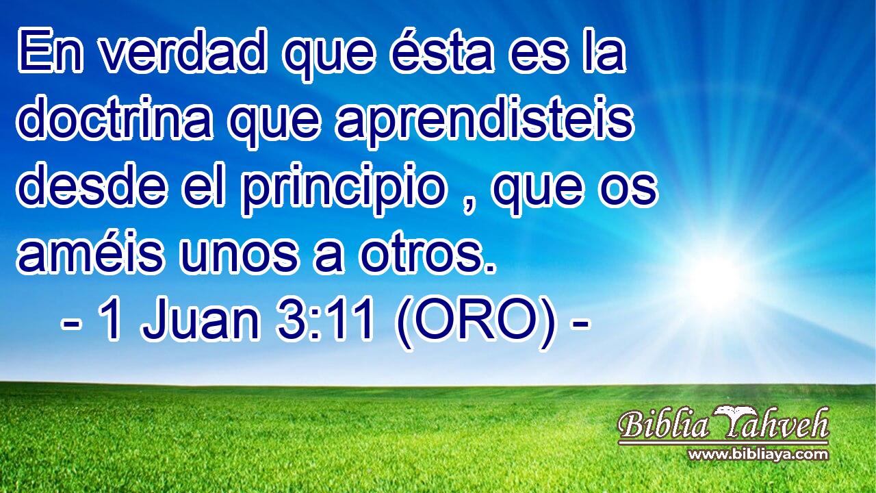  En verdad que ésta es la doctrina que aprendisteis desde el principio , que os améis unos a otros. 