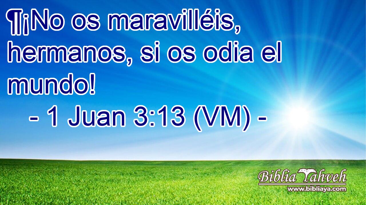  ¶¡No os maravilléis, hermanos, si os odia el mundo! 
