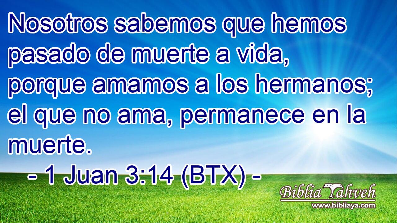 Nosotros sabemos que hemos pasado de muerte a vida, porque amamos a los hermanos; el que no ama, permanece en la muerte.