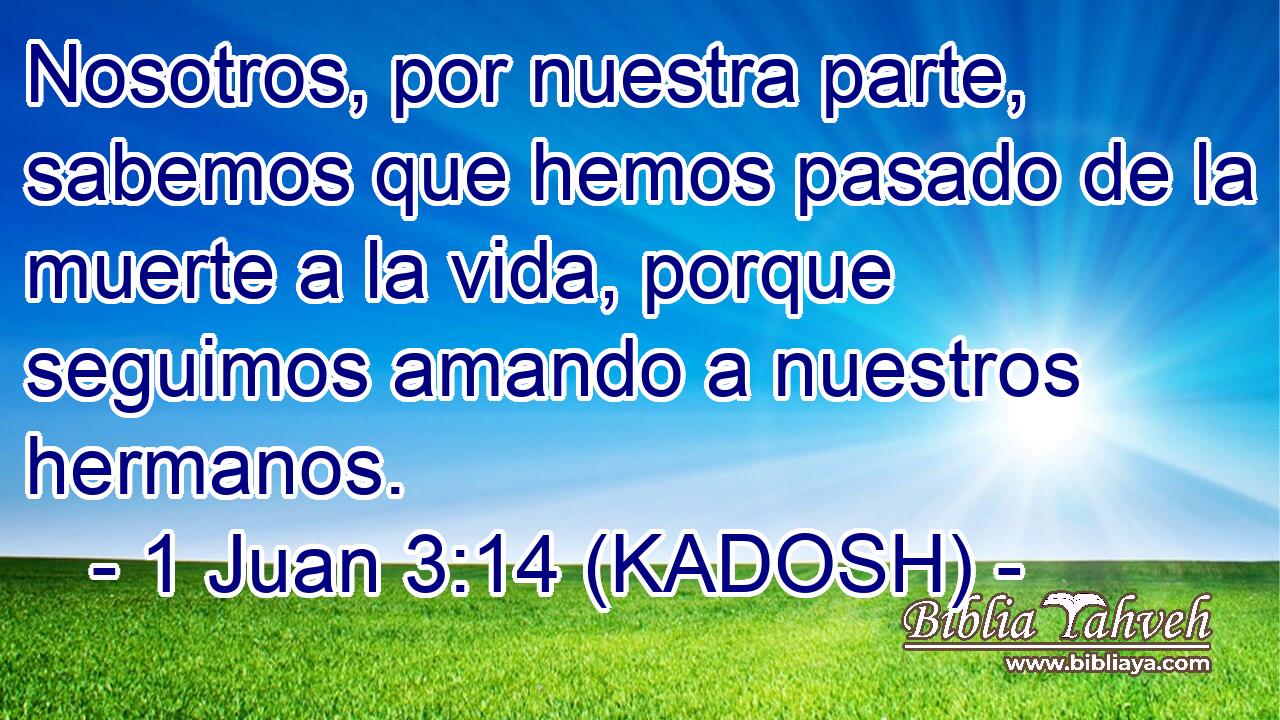  Nosotros, por nuestra parte, sabemos que hemos pasado de la muerte a la vida, porque seguimos amando a nuestros hermanos. 