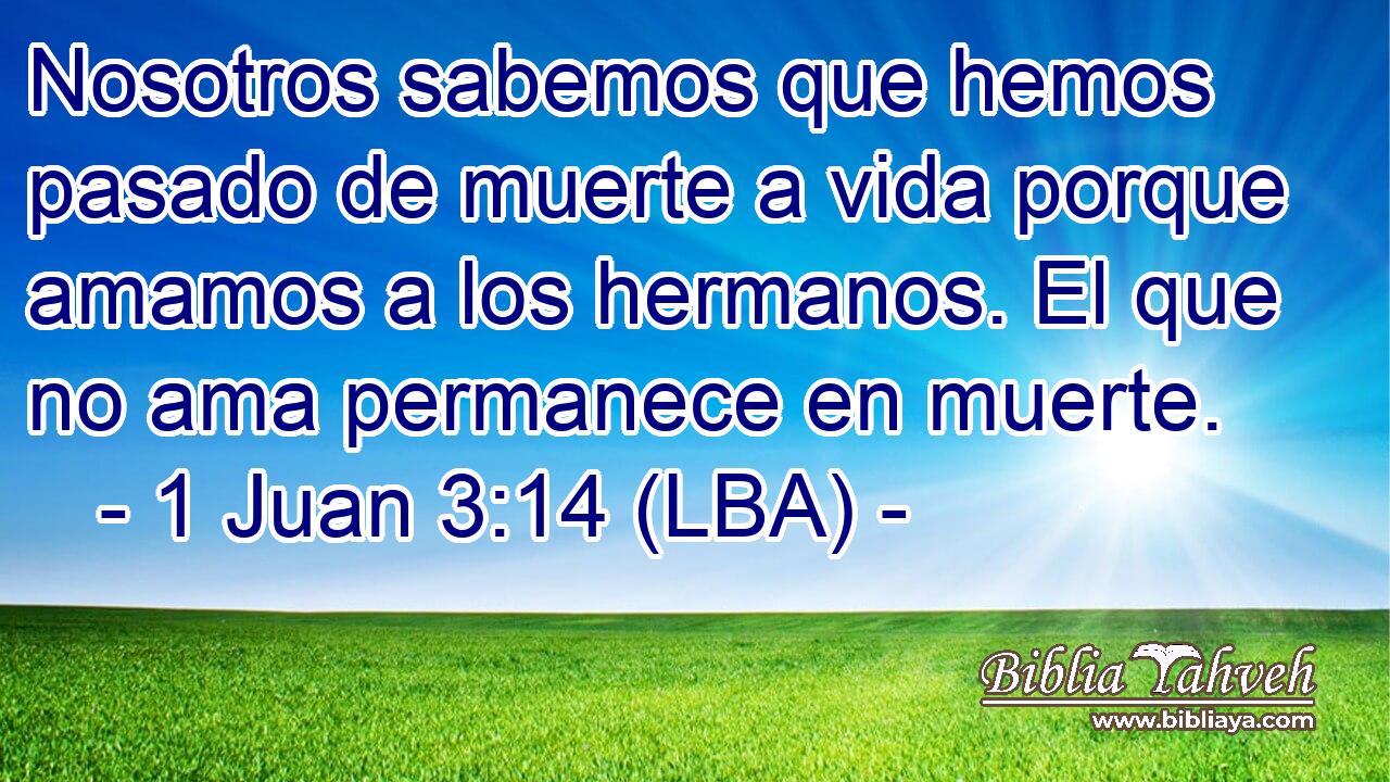 Nosotros sabemos que hemos pasado de muerte a vida porque amamos a los hermanos. El que no ama permanece en muerte.