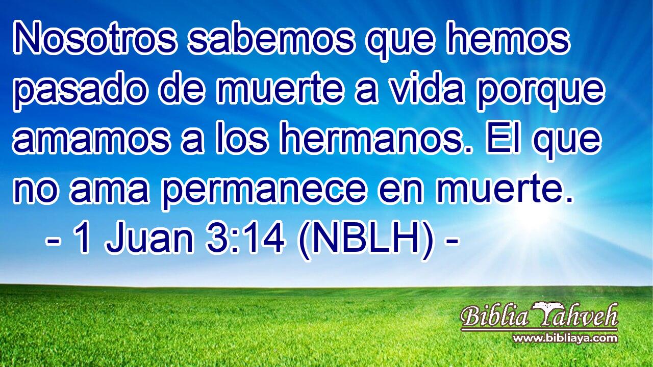  Nosotros sabemos que hemos pasado de muerte a vida porque amamos a los hermanos. El que no ama permanece en muerte. 