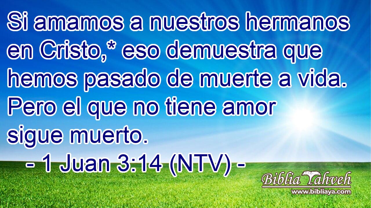 Si amamos a nuestros hermanos en Cristo,* eso demuestra que hemos pasado de muerte a vida. Pero el que no tiene amor sigue muerto.