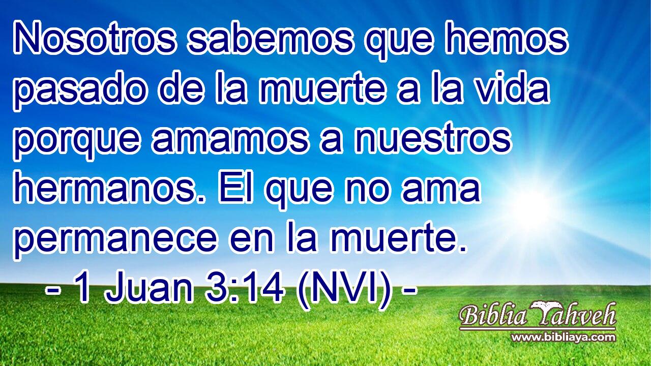  Nosotros sabemos que hemos pasado de la muerte a la vida porque amamos a nuestros hermanos. El que no ama permanece en la muerte. 