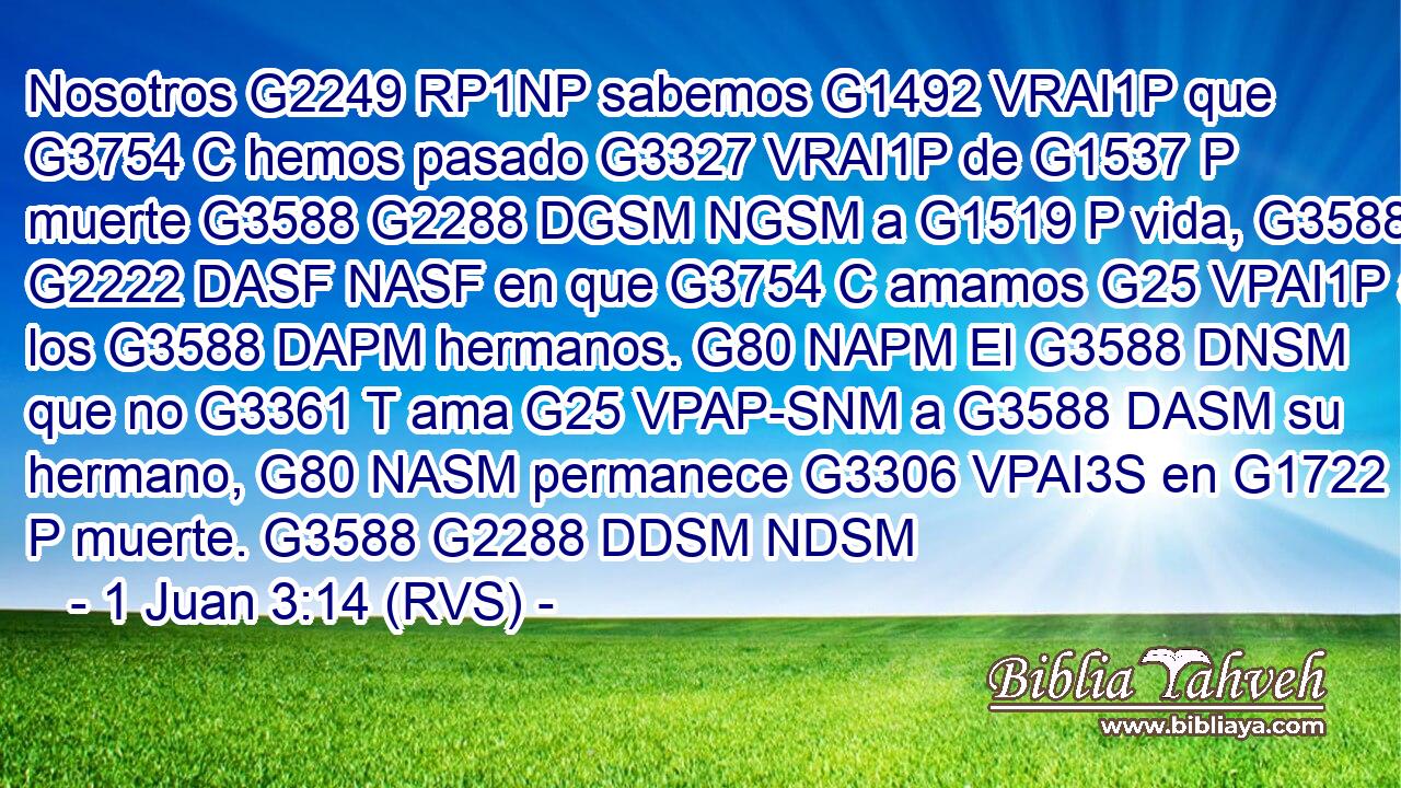 Nosotros G2249 RP1NP sabemos G1492 VRAI1P que G3754 C hemos pasado G3327 VRAI1P de G1537 P muerte G3588 G2288 DGSM NGSM a G1519 P vida, G3588 G2222 DASF NASF en que G3754 C amamos G25 VPAI1P a los G3588 DAPM hermanos. G80 NAPM El G3588 DNSM que no G3361 T ama G25 VPAP-SNM a G3588 DASM su hermano, G80 NASM permanece G3306 VPAI3S en G1722 P muerte. G3588 G2288 DDSM NDSM 