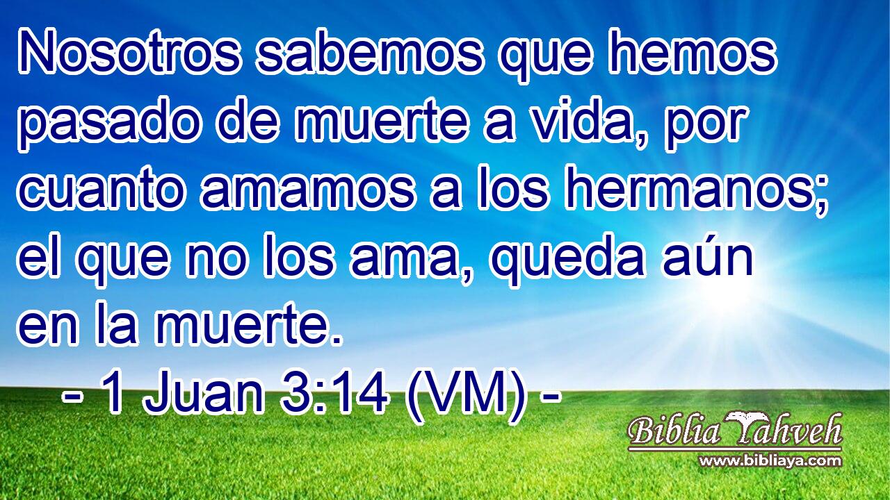  Nosotros sabemos que hemos pasado de muerte a vida, por cuanto amamos a los hermanos; el que no los ama, queda aún en la muerte. 
