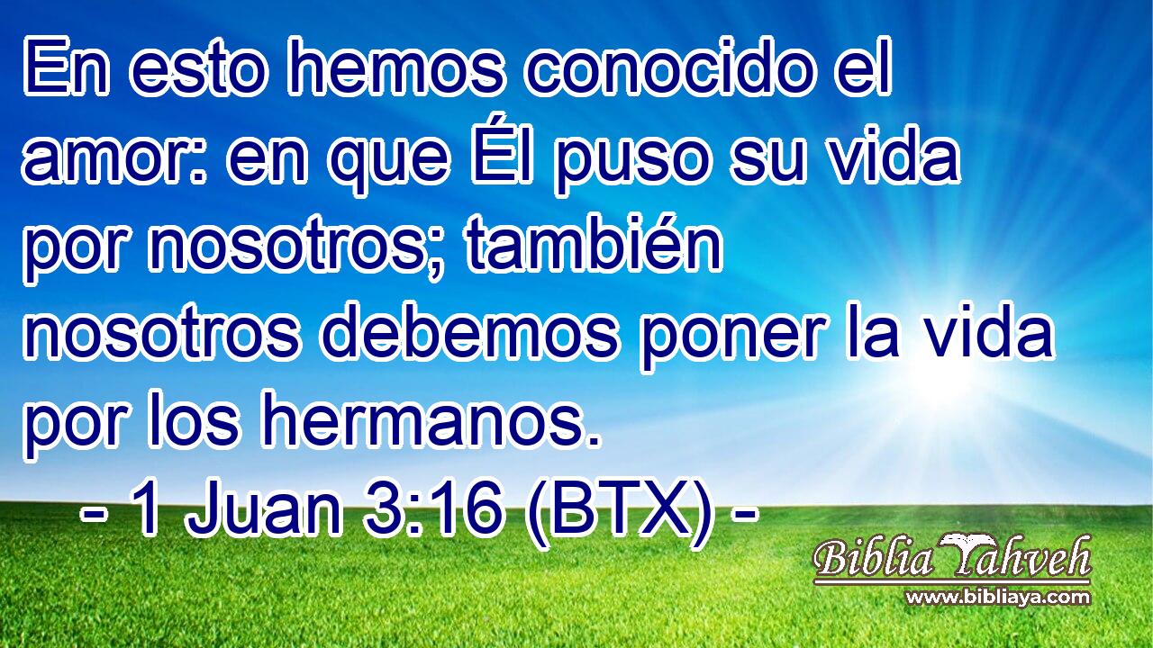 En esto hemos conocido el amor: en que Él puso su vida por nosotros; también nosotros debemos poner la vida por los hermanos.