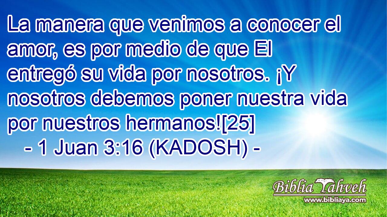  La manera que venimos a conocer el amor, es por medio de que El entregó su vida por nosotros. ¡Y nosotros debemos poner nuestra vida por nuestros hermanos![25] 