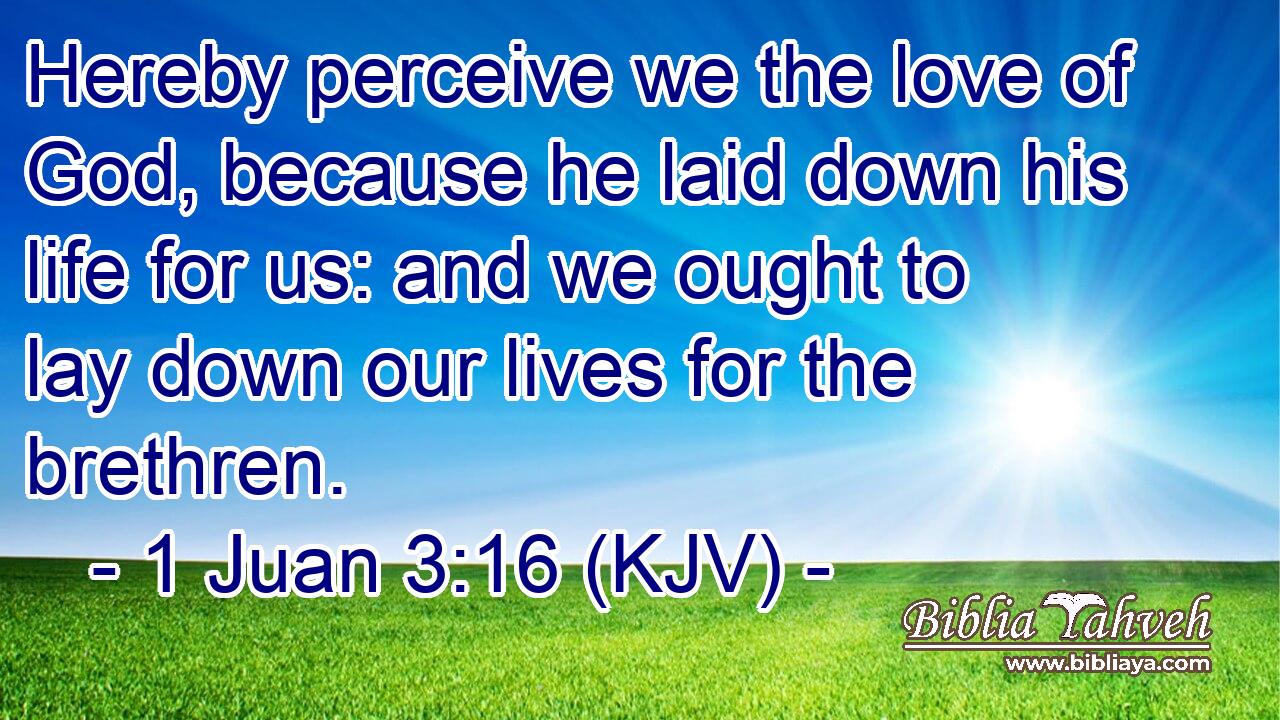Hereby perceive we the love of God, because he laid down his life for us: and we ought to lay down our lives for the brethren.