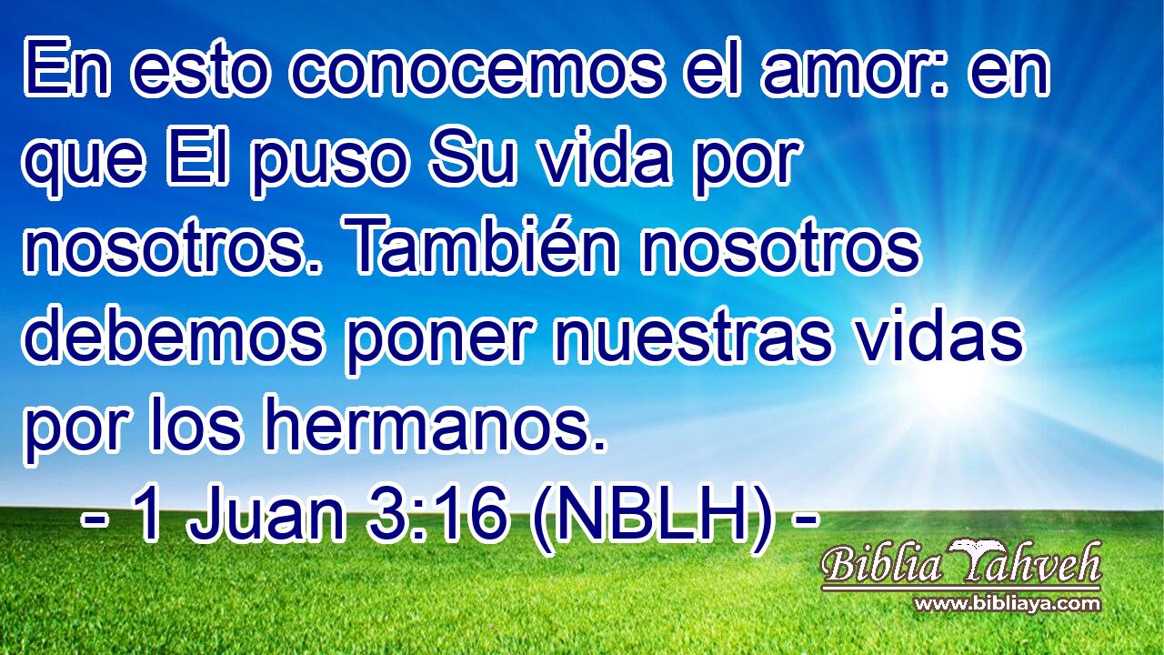  En esto conocemos el amor: en que El puso Su vida por nosotros. También nosotros debemos poner nuestras vidas por los hermanos. 